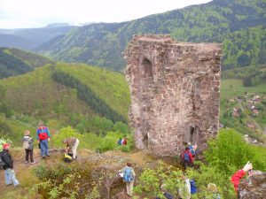 Durch das Hochmoor zur Grünhütte