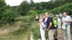 Dreierlei in Willstätt