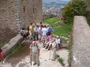 Durch das Hochmoor zur Grünhütte