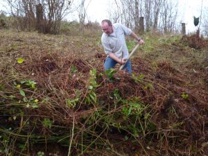 Durch das Hochmoor zur Grünhütte