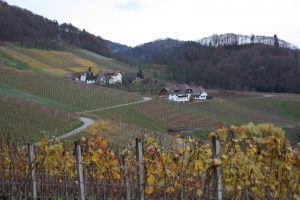 Durch das Hochmoor zur Grünhütte