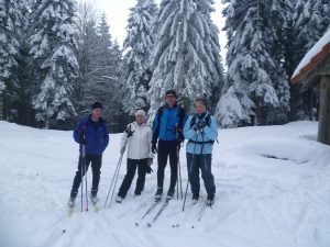 Durch das Hochmoor zur Grünhütte