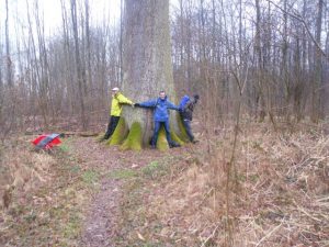 Durch das Hochmoor zur Grünhütte