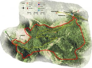 Durch das Hochmoor zur Grünhütte