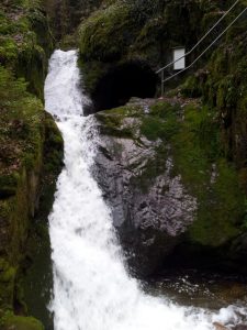 Durch das Hochmoor zur Grünhütte