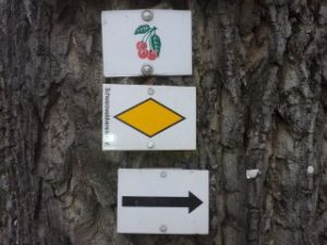 Durch das Hochmoor zur Grünhütte