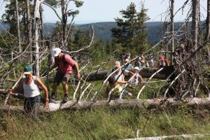 Durch das Hochmoor zur Grünhütte
