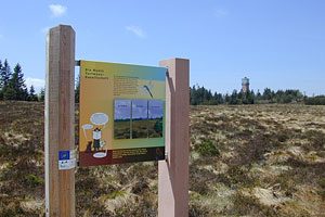 Durch das Hochmoor zur Grünhütte