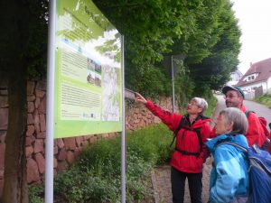 Silvesterlauf in Kappelrodeck