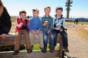 Durch das Hochmoor zur Grünhütte