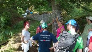 Durch das Hochmoor zur Grünhütte