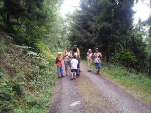 Durch das Hochmoor zur Grünhütte