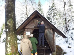 Durch das Hochmoor zur Grünhütte