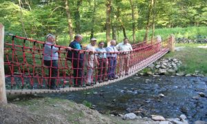 Durch das Hochmoor zur Grünhütte