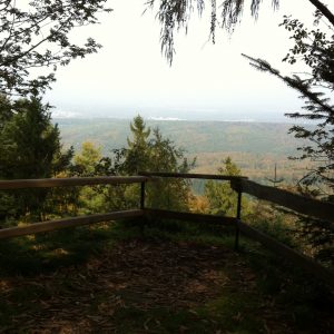 Durch das Hochmoor zur Grünhütte