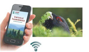 Durch das Hochmoor zur Grünhütte