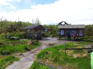 Durch das Hochmoor zur Grünhütte