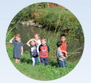 Durch das Hochmoor zur Grünhütte