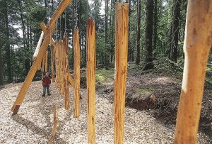 Durch das Hochmoor zur Grünhütte