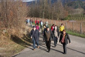 Durch das Hochmoor zur Grünhütte
