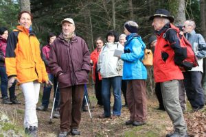 Durch das Hochmoor zur Grünhütte