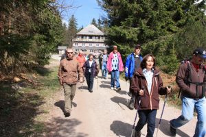 Durch das Hochmoor zur Grünhütte