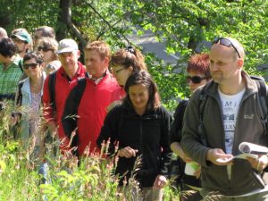 Durch das Hochmoor zur Grünhütte