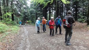 Dreierlei in Willstätt