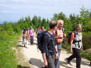 Durch das Hochmoor zur Grünhütte