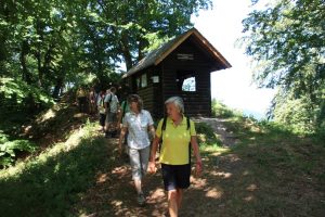 Silvesterlauf in Kappelrodeck