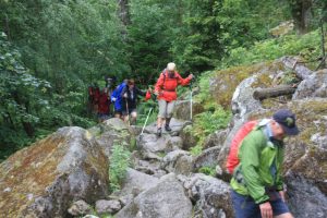Durch das Hochmoor zur Grünhütte