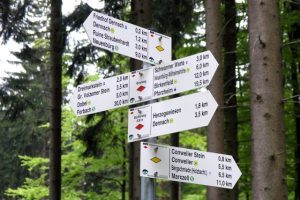 Durch das Hochmoor zur Grünhütte