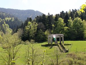 Durch das Hochmoor zur Grünhütte