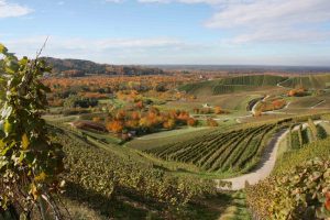 Durch das Hochmoor zur Grünhütte