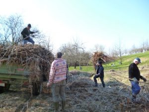 Durch das Hochmoor zur Grünhütte