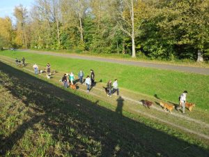 Silvesterlauf in Kappelrodeck
