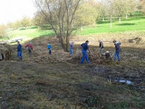 Durch das Hochmoor zur Grünhütte