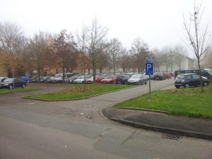 Durch das Hochmoor zur Grünhütte