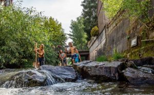 Durch das Hochmoor zur Grünhütte