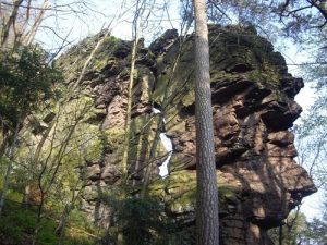Durch das Hochmoor zur Grünhütte