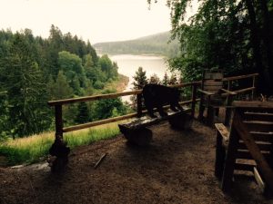 Durch das Hochmoor zur Grünhütte