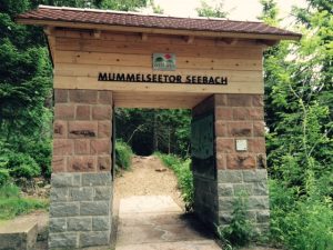 Durch das Hochmoor zur Grünhütte