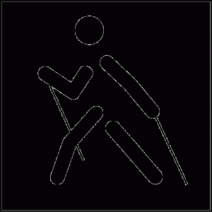 Durch das Hochmoor zur Grünhütte