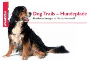 Durch das Hochmoor zur Grünhütte