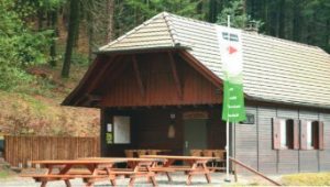 Durch das Hochmoor zur Grünhütte