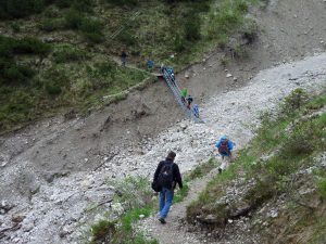 Durch das Hochmoor zur Grünhütte