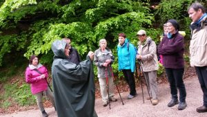 Durch das Hochmoor zur Grünhütte
