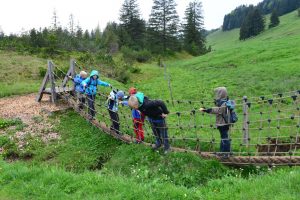 Durch das Hochmoor zur Grünhütte