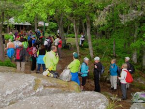 Durch das Hochmoor zur Grünhütte
