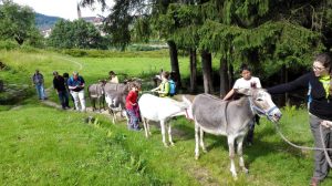 Silvesterlauf in Kappelrodeck